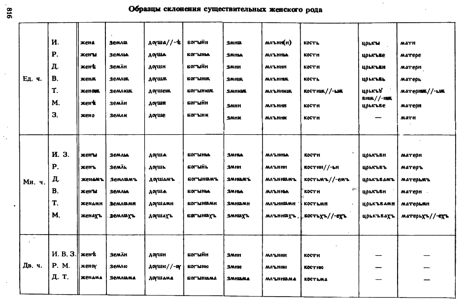 cejtlin 816